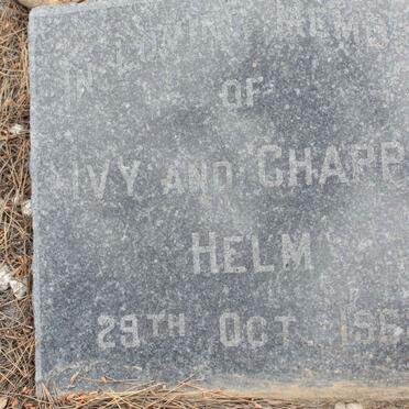 HELM Ivy &amp; Chappie - 1962