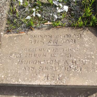 MOLENDORFF A.H., v. 1853-1936