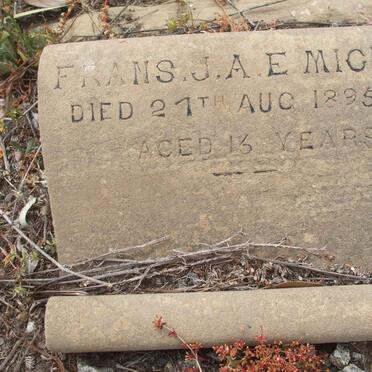 MICHEL Frans J.A.E. -1895