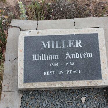 MILLER William Andrew 1896-1956