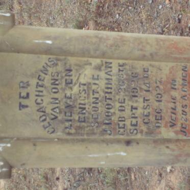 ROOTMAN J. 1926-1927