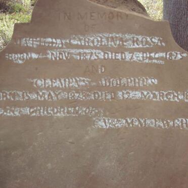 ? Matilda Caroline Rosa 1875-1875 :: ? Clemens Adolphus 1878-1879