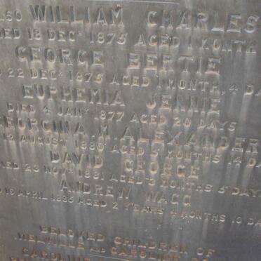 BROWN Caroline nee WAGG  -1884 :: BROWN Thomas  -1869 