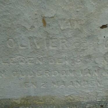 OLIVIER M.S. nee GREEFF -188?