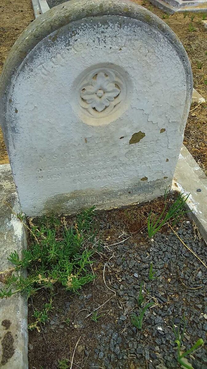 OLIVIER M.S. nee GREEFF -188?