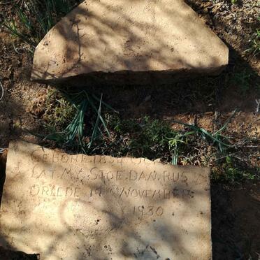 BOTHA Petrus Jacobus 1854-1930