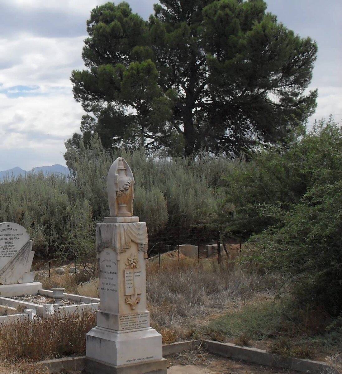 MEIRING Petrus Stephanus 1857-1913 &amp; Magdalena VIVIER 1861-1902