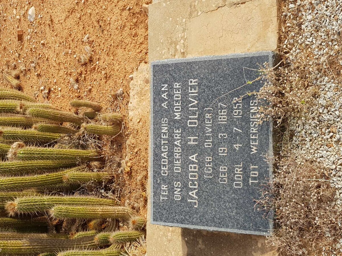 OLIVIER Jacoba H. nee OLIVIER 1867-1952