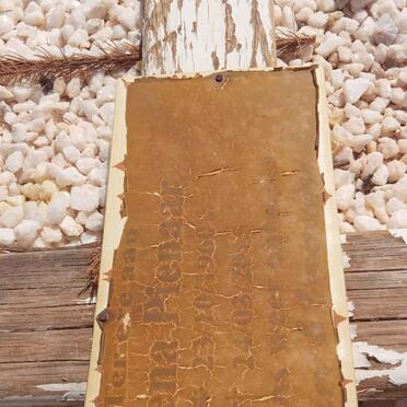 PIENAAR Diena 1960-2015