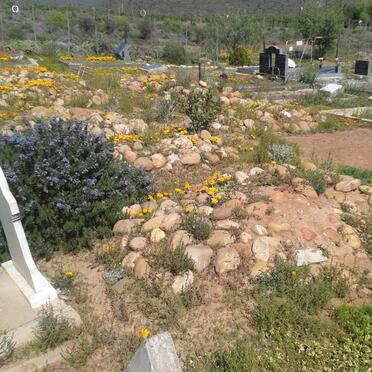 2. Overview / Oorsig