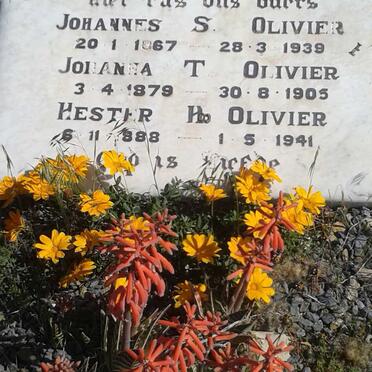 OLIVIER Johannes S. 1867-1939 :: OLIVIER Johanna T. 1879-1905 :: OLIVIER Hester H. 1888-1941