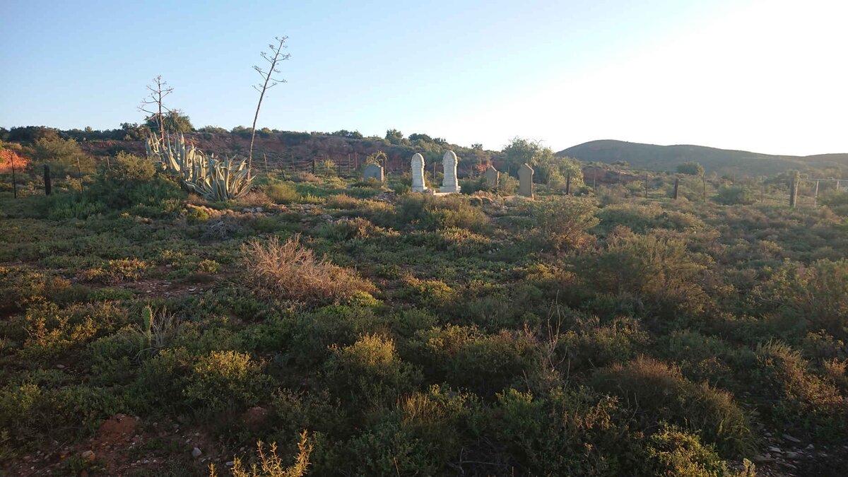 1. Overview / Oorsig