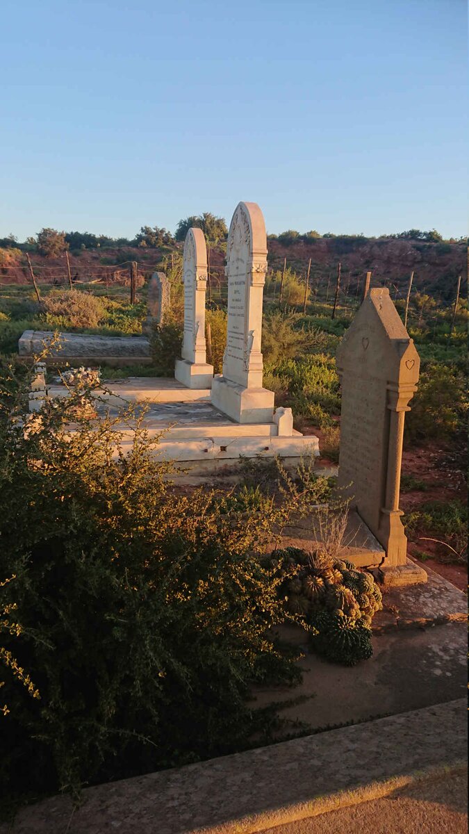 2. Overview / Oorsig