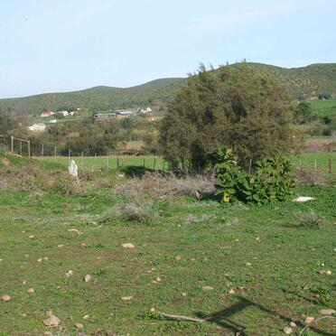 1. Overview