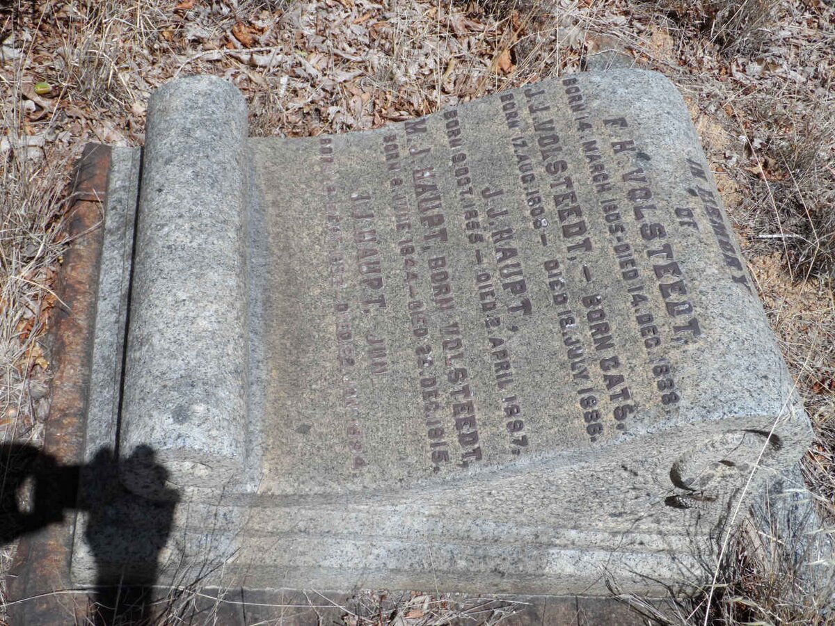 VOLSTEEDT :: CATS :: HAUPT