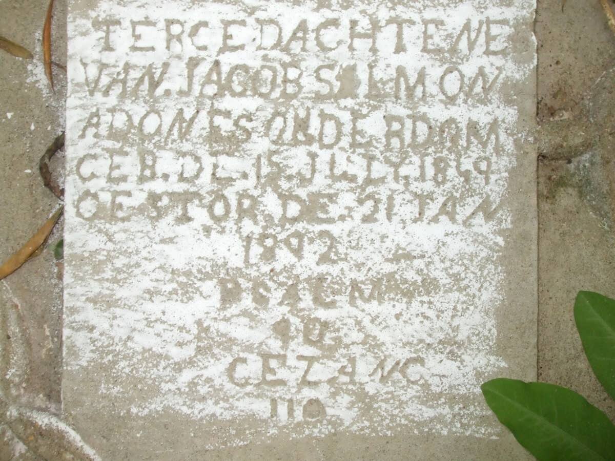 ADONES Jacob Salmon 1849-1892