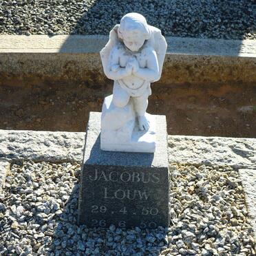 LOUW Jacobus 1950-1950
