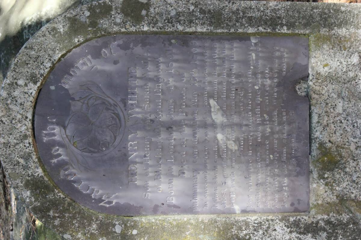 WHITE H?d?nry 1851-1909