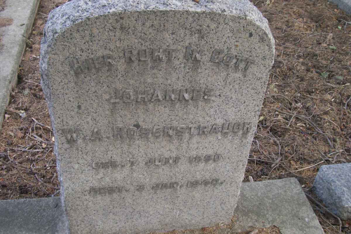 ROSENSTRAUCH Johannes W.A. 1890-1940