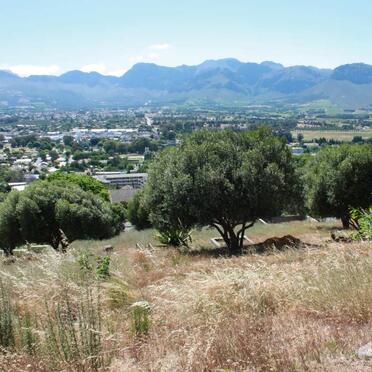 3. Overview