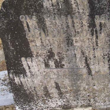 LOUW Hennie 1915-1926