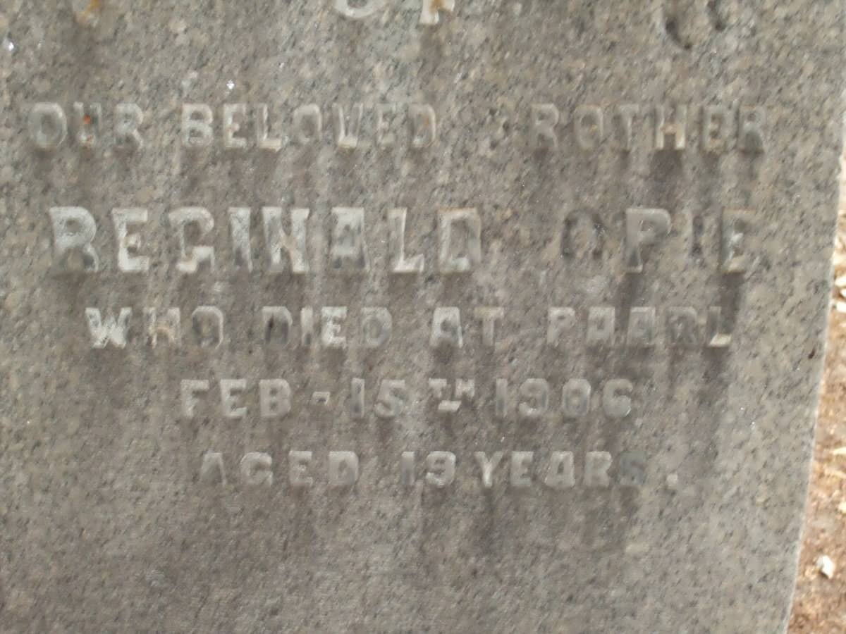 OPIE Reginald -1906