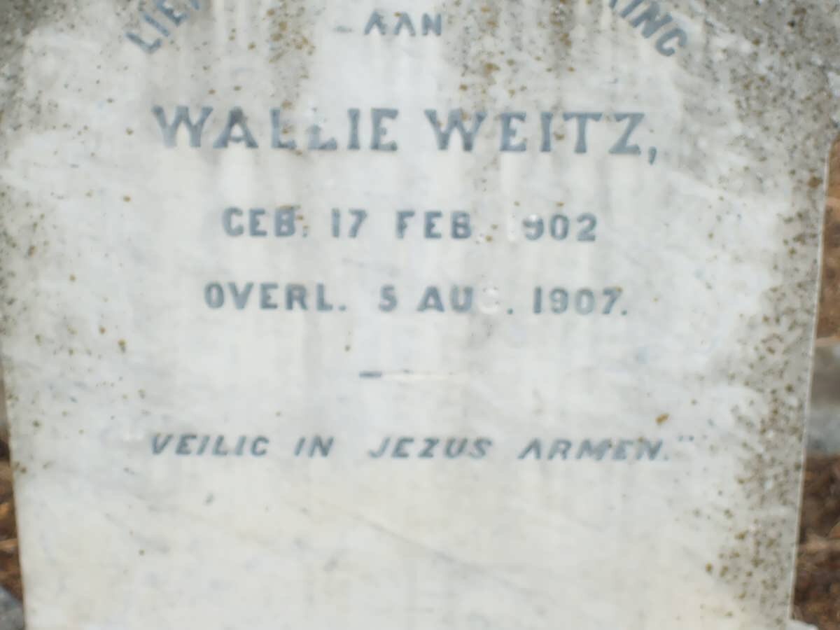 WEITZ Wallie 1902-1907