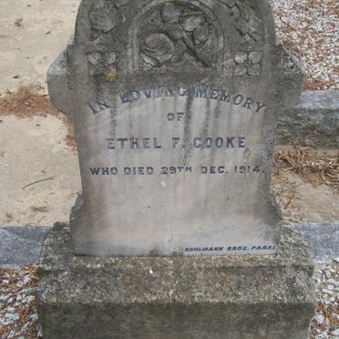 C - Surnames :: Vanne - C