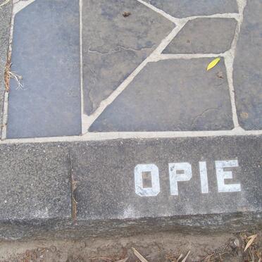 O - Surnames :: Vanne - O