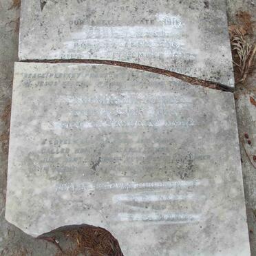 WARD John -1878 :: WARD Thomas W. -1895