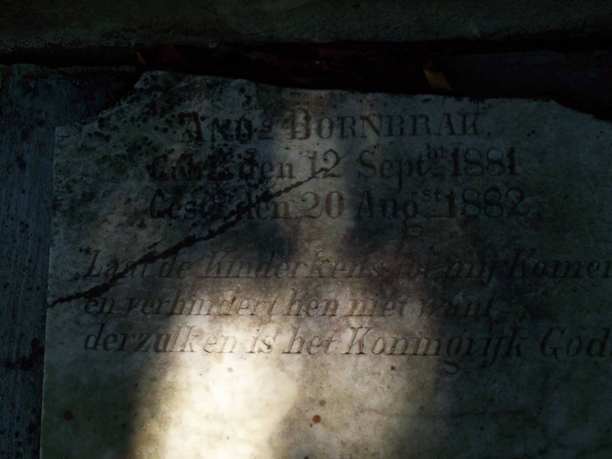 BORNBRAK Amoz 1881-1882