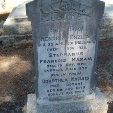 ENZLIN Hendrik 1851-1928 :: MARAIS Stephanus Francois 1876-1936 &amp; Dorothea BOSCH 1875-1940