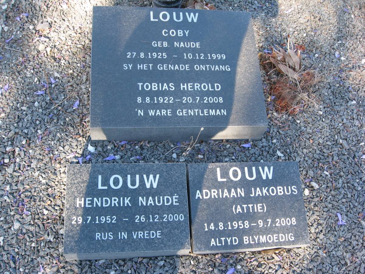 LOUW Tobias Herold 1922-2008 &amp; Coby NAUDE 1925-1999 :: LOUW Hendrik N. 1952-2000 :: LOUW Adriaan J. 1958-2008