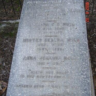 MOLL :: DU PLESSIS :: ROOS