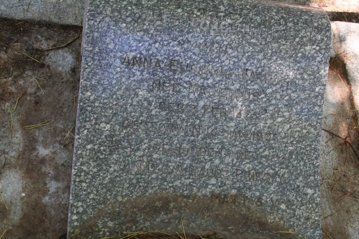 NAUDE Anna Eugenia nee MAGENNIS 1875-1906