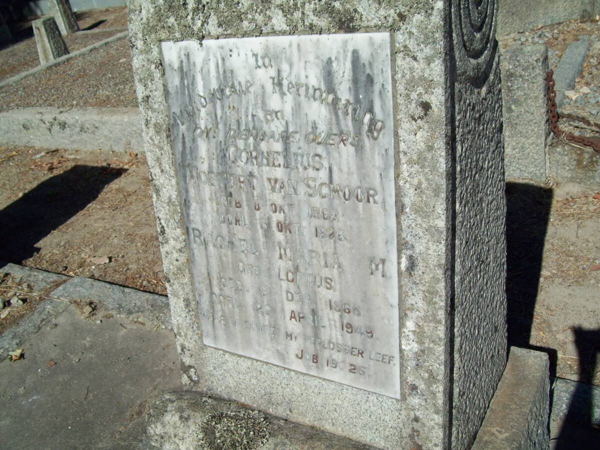 SCHOOR Cornelius Mostert, van 1862-1926 &amp; Rachel Maria M . LOFTUS 1868-1949