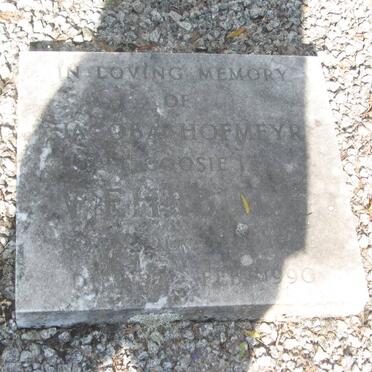 SPUY, van der :: WEHLBURG