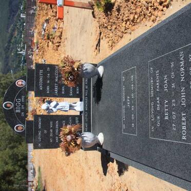 BIGG Robert John Norman 1913-1992 &amp; Betty Joan 1923-1991