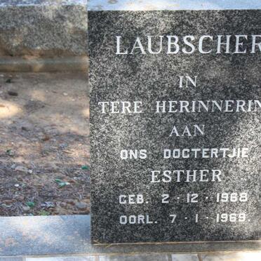LAUBSCHER Esther 1968-1969