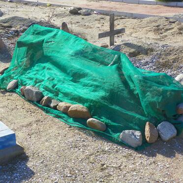 JORDAAN Pieter 1931-19??