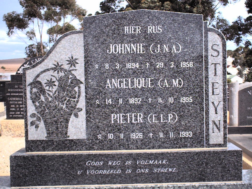 STEYN J.N.A. 1894-1958 :: STEYN  A.M. 1892-199 :: STEYN E.L.P. 1926-1993