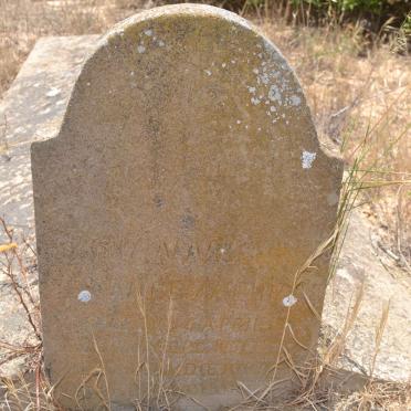 THIART Johannes Daniel N. 18?7-1931