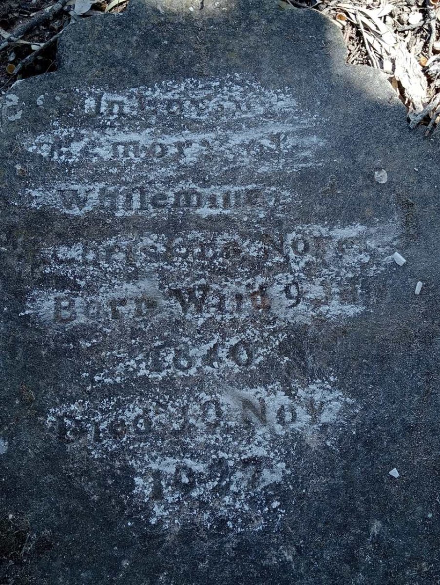 ? Whilemiena Christina nee WIID 1840-1927