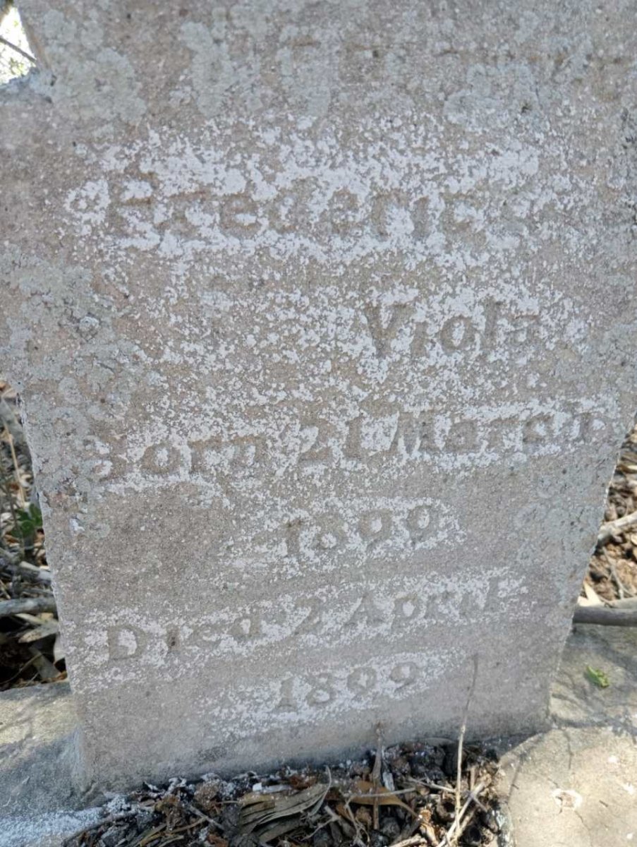 VIOLA Frederic 1899-1899