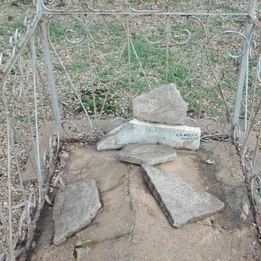 Western Cape, PIKETBERG district, Piketberg, Groenevalley 155, Groenvlei, farm cemetery