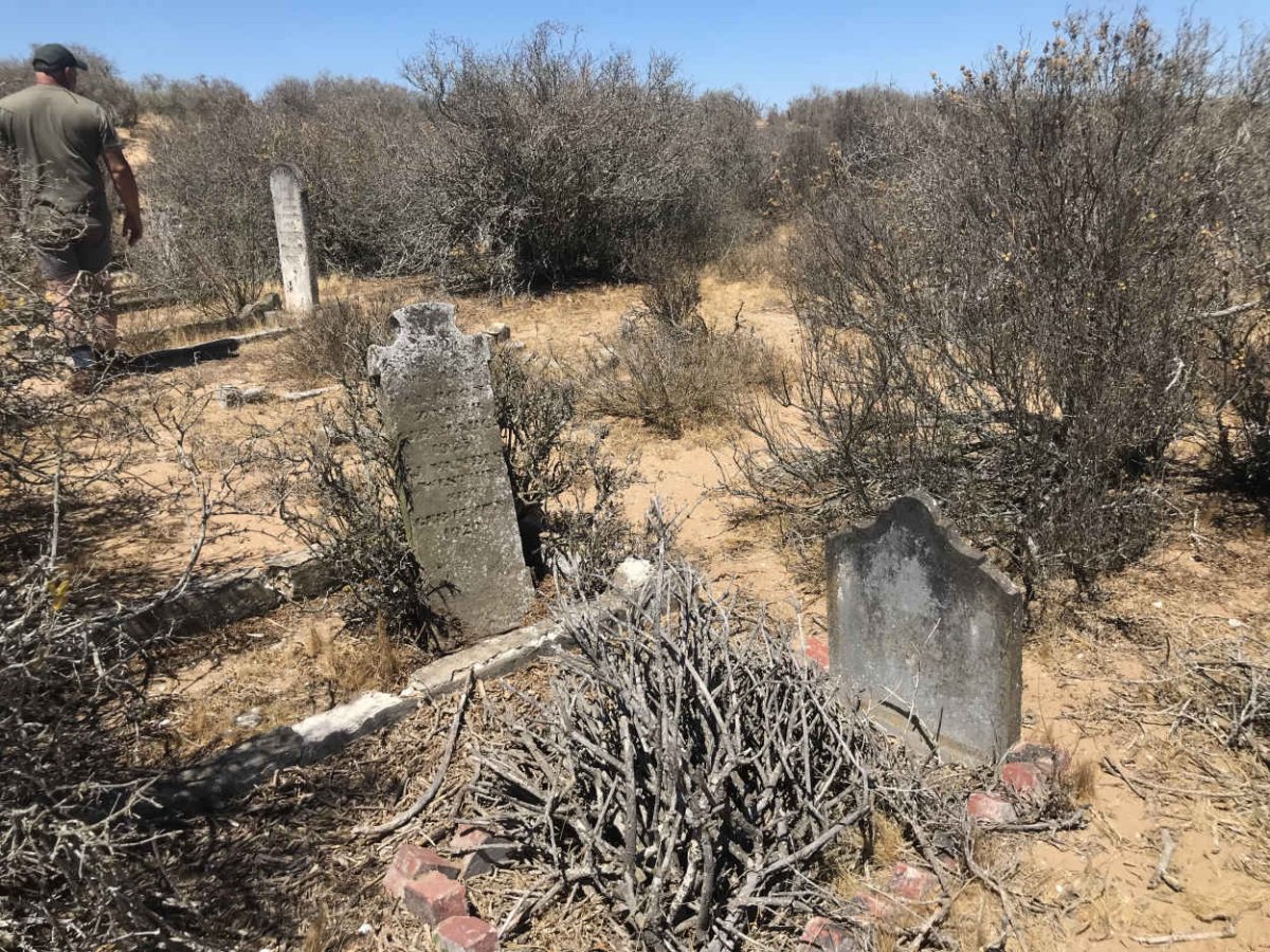 1. Overview / Oorsig