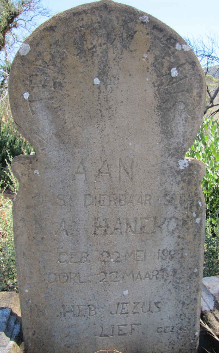 HANEKOM ? A. 1???-1???