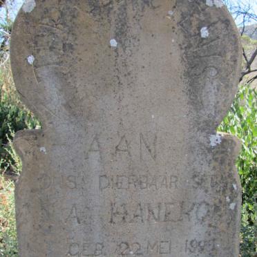 HANEKOM ? A. 1???-1???