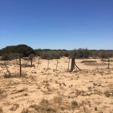 Western Cape, PIKETBERG district, Velddrif, Dwarskersbos 109, Rosyntjiedam, farm cemetery