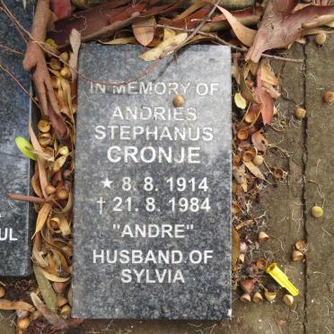 C - Surnames :: Vanne - C